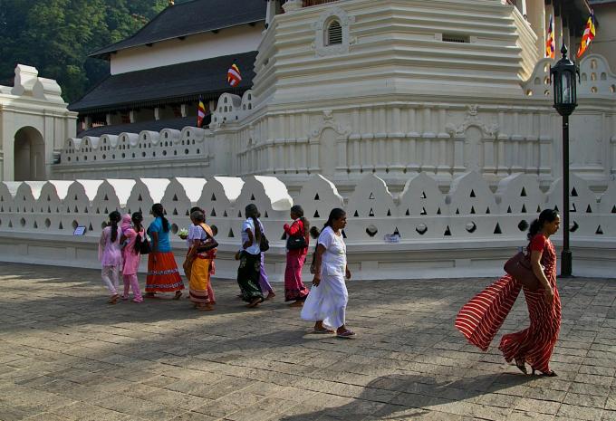 Circuit et séjour balnéaire au Sri Lanka