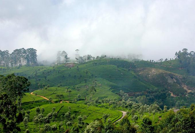 Circuit et séjour balnéaire au Sri Lanka