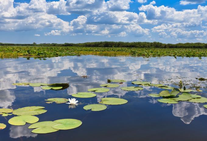Donaudelta Donaudelta