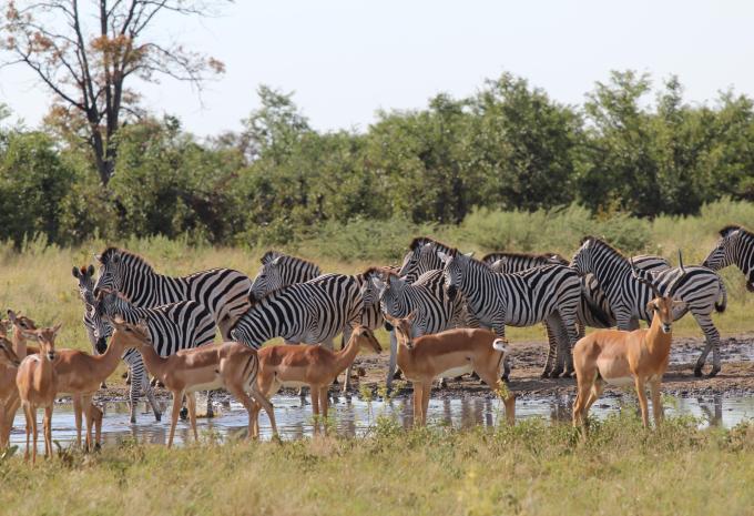 Afrique du Sud - entre villes contrastées et nature à couper le souffle