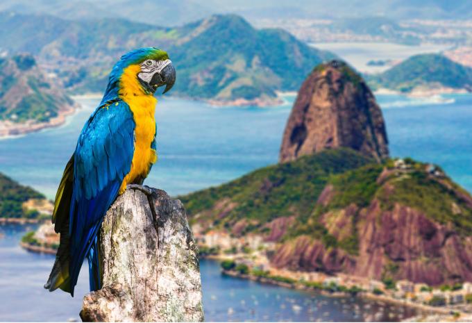 Giro del mondo 2026 - Crociera