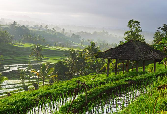 Australien, Indonesien & Singapur - Kreuzfahrt