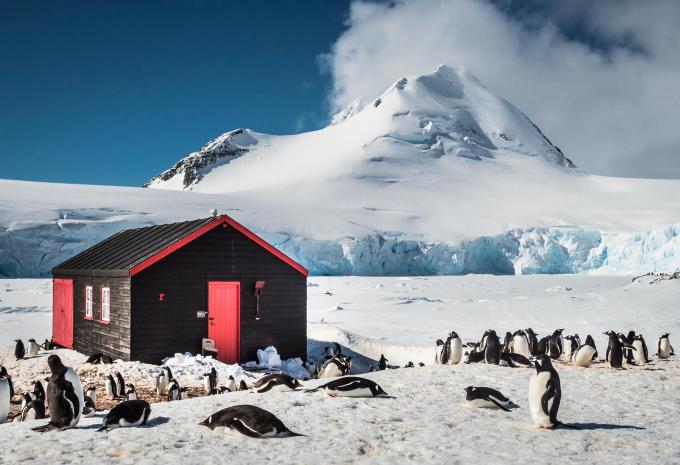 Ultima Antartide e Georgia del Sud - City Trip e Crociera di Spedizione