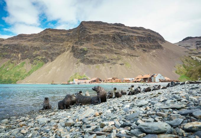 Ultima Antartide e Georgia del Sud - City Trip e Crociera di Spedizione