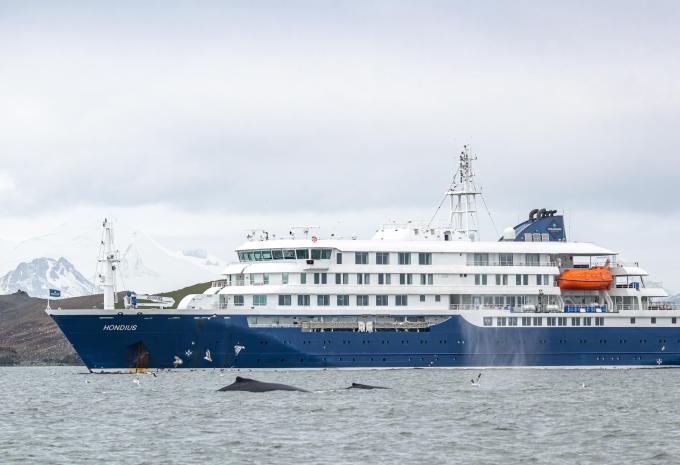Ultima Antartide e Georgia del Sud - City Trip e Crociera di Spedizione