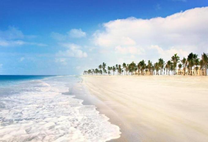 Rotana Resort Salalah***** in Salalah