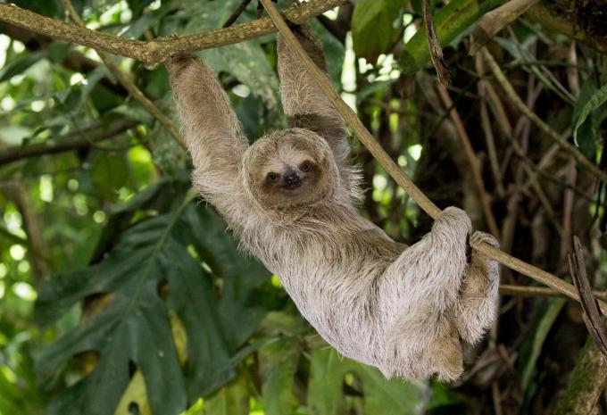 Costa Rica - Tour e soggiorno balneare