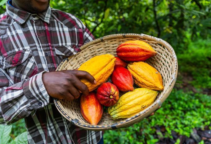 Costa Rica - Tour e soggiorno balneare