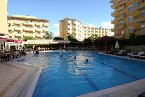Kleopatra Royal Palm***