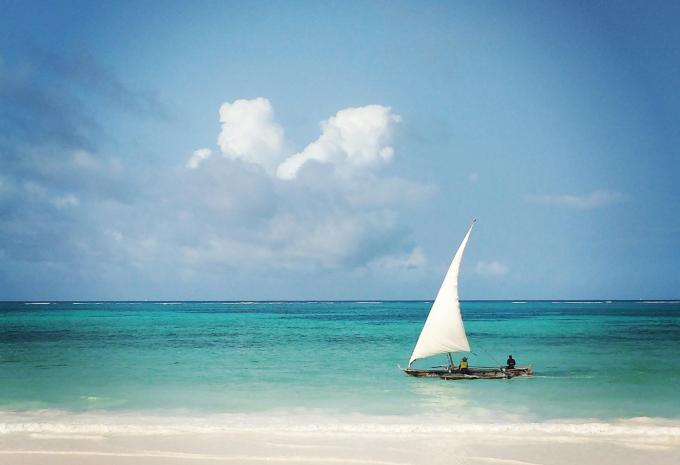 Tanzanie et Zanzibar - Safari et baignade