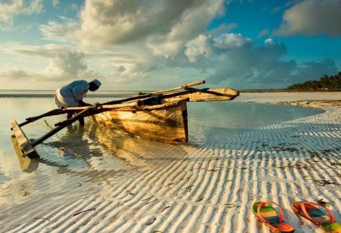 Tanzanie et Zanzibar - Safari et baignade