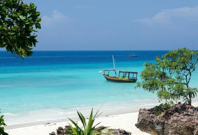 Tanzanie et Zanzibar - Safari et baignade