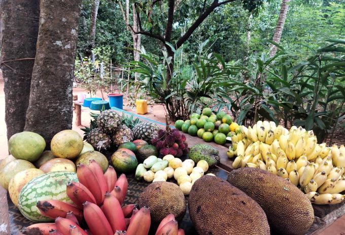 Tanzanie et Zanzibar - Safari et baignade