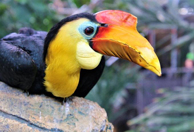 Zoo Karlsruhe
