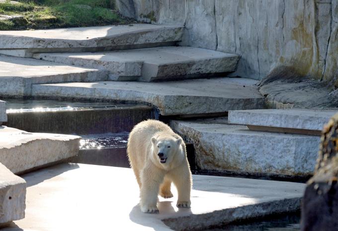 Zoo Karlsruhe