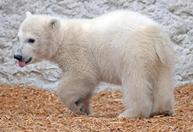 Zoo Karlsruhe