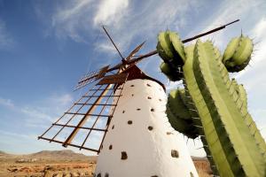 Canarie e Madera - Crociera
