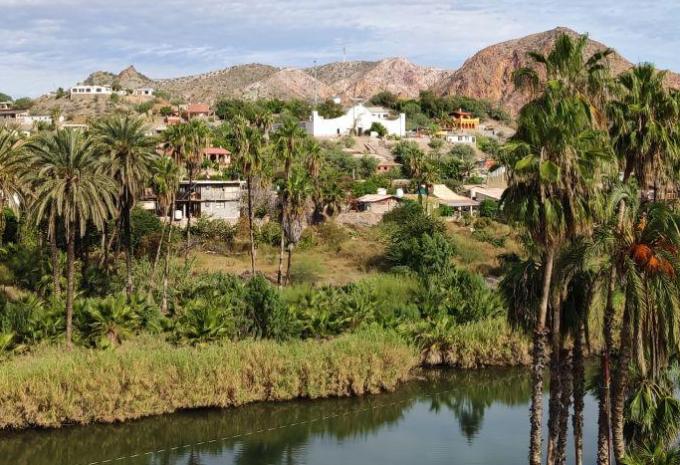 Mulege