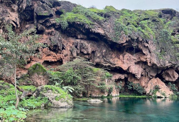 Oman Sud - Croisière et baignade