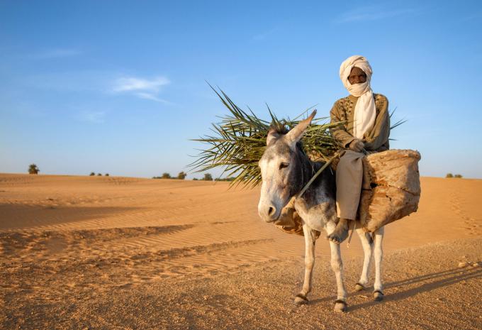 Oman Sud - Croisière et baignade