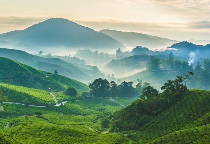 Sri Lanka - Rundreise & Baden