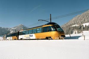 Romanticismo invernale con il Golden Pass Express  - Tour in treno