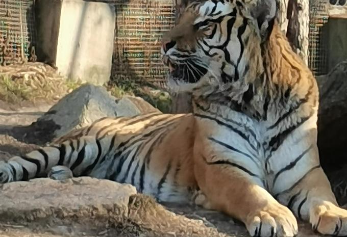 Märchenhafte Eis- und Schneewelt von Nordostchina - Rundreise