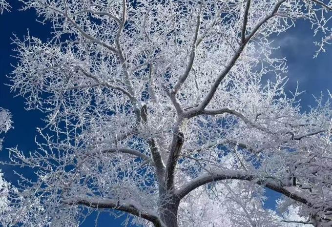 Märchenhafte Eis- und Schneewelt von Nordostchina - Rundreise