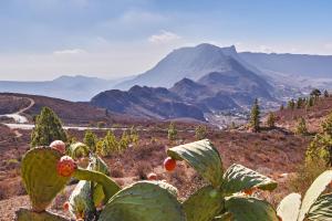 Gran Canaria