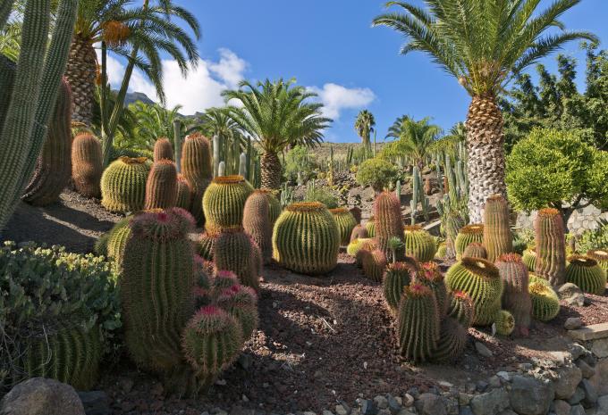 Grande Canarie - Randonnée