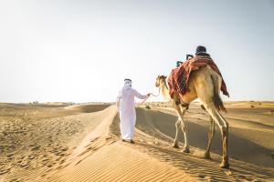 Tunisia - Tour