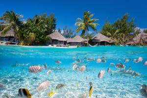 Australia, Hawaii e Canada - Crociera transpacifica & Tour della città
