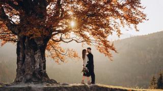 Goldener Herbst ganz nah