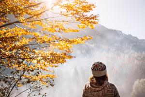 Goldener Herbst ganz nah - ALDI SUISSE TOURS