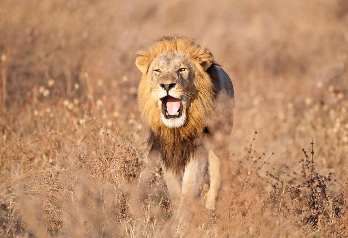 Südafrika - Traumhaftes Südafrika