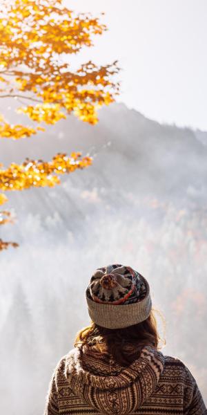 Goldener Herbst ganz nah