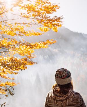 Goldener Herbst ganz nah