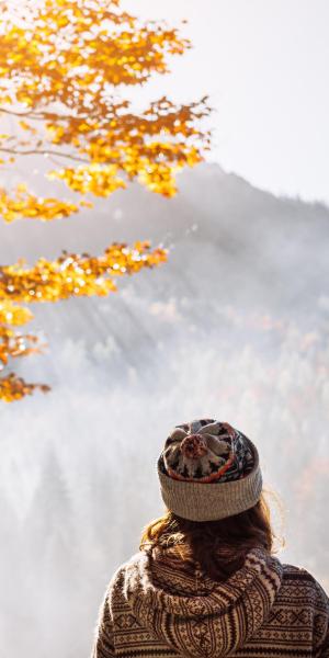 Autunno dorato a portata di mano