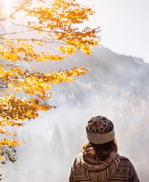 Autunno dorato a portata di mano