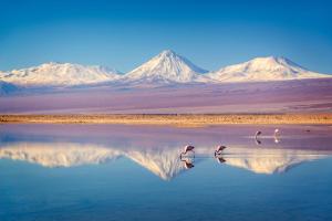 Laguna Chaxa, Atacama