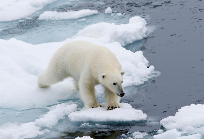 Islande, Jan Mayen et Svalbard - Escapade citadine & croisière d'expédition