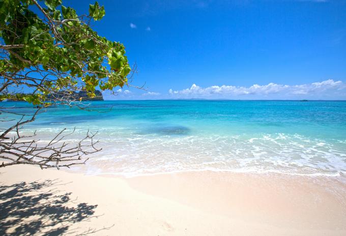 Bamboo Island Bamboo Island