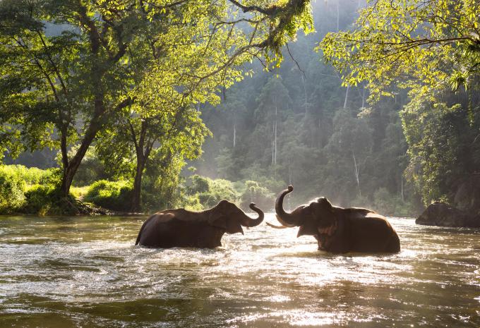 Sud de la Thaïlande - Baignade