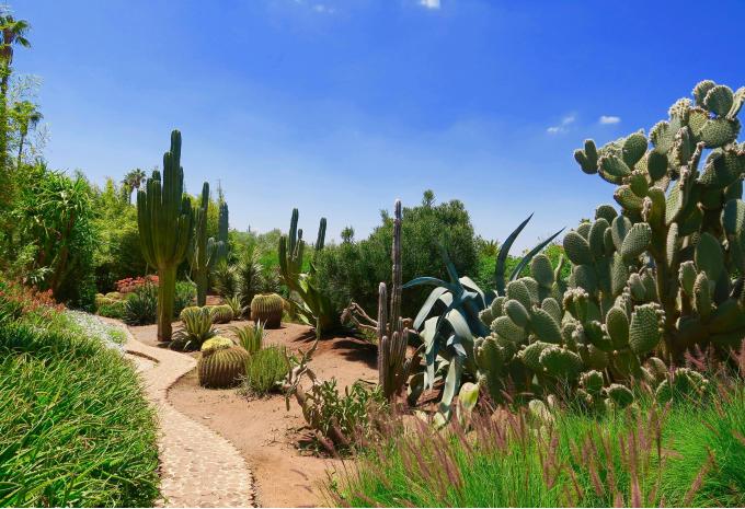 Grosse Marokko - Rundreise