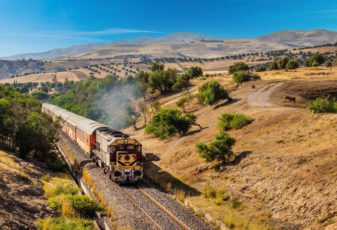 Oriental Desert Express