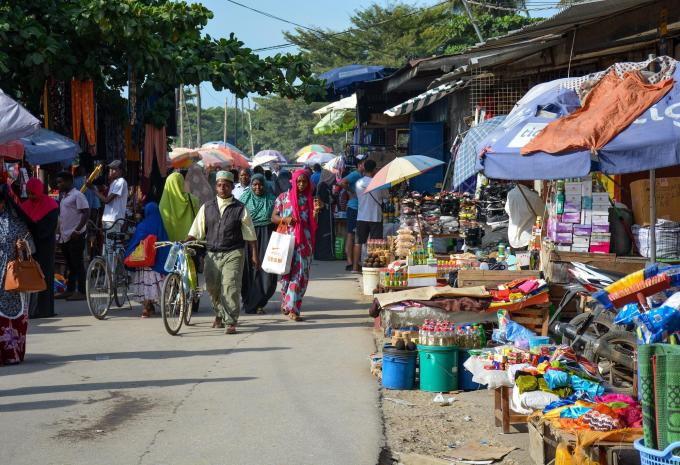 Tanzania e Zanzibar - Safari & soggiorno balneare