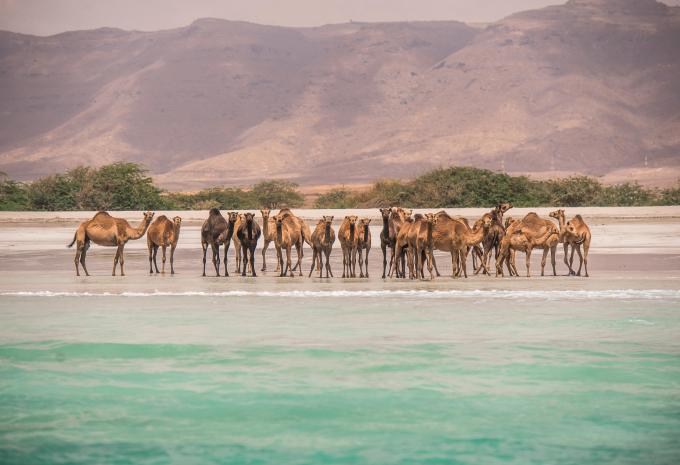 Süd Oman - Sternfahrt & Baden
