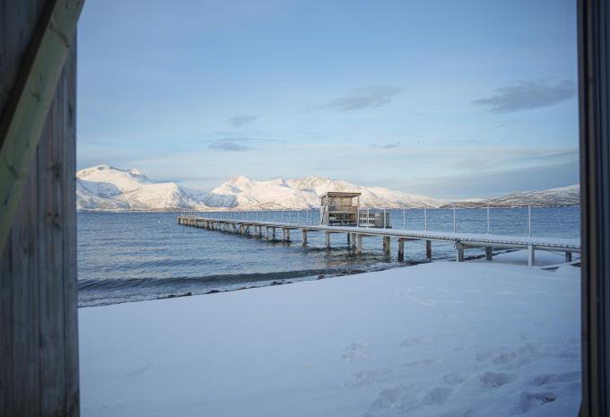 Fiaba invernale nel nord della Norvegia - Tour