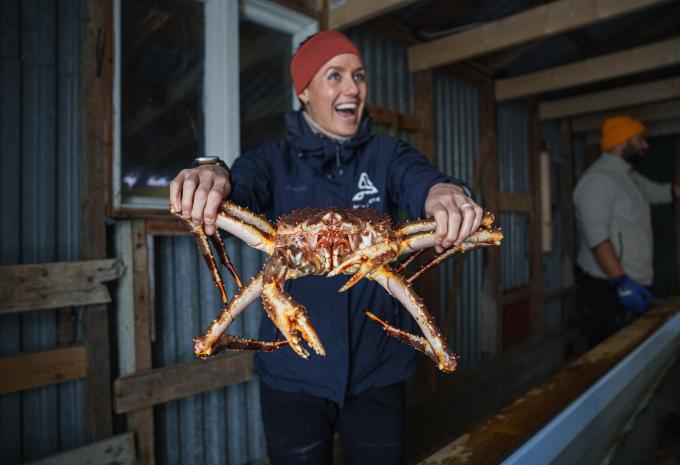 Fiaba invernale nel nord della Norvegia - Tour