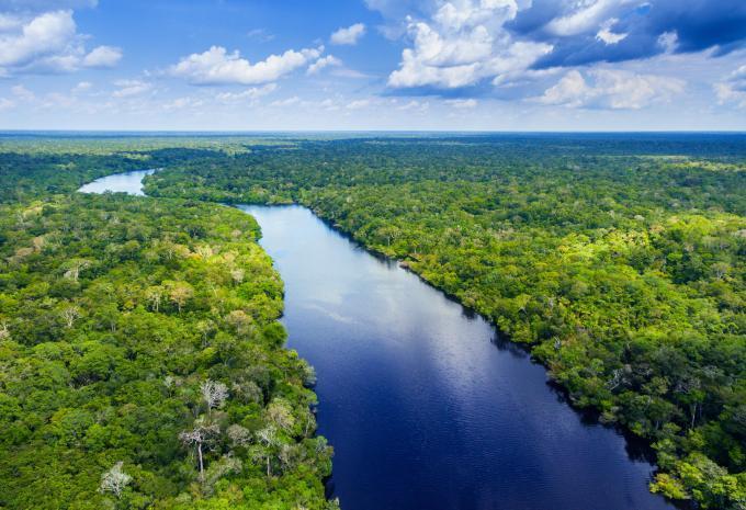 forêt amazonienne